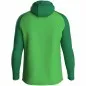 Preview: JAKO Kapuzenjacke Iconic soft green/sportgrün
