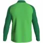 Preview: JAKO polyester jacket Iconic soft green/sport green