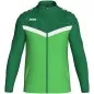 Preview: JAKO polyester jacket Iconic soft green/sport green