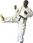 Preview: Karate suit Yondan