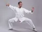 Preview: Kung Fu | Tai Chi Anzug Kampfsportanzug Shogun weiss