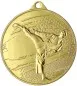 Preview: Medal Karate/Taekwondo 4,5 cm