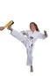 Preview: Taekwondoanzug Basic Stoff