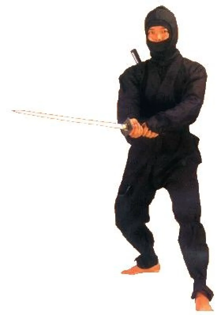 Ninja-pak