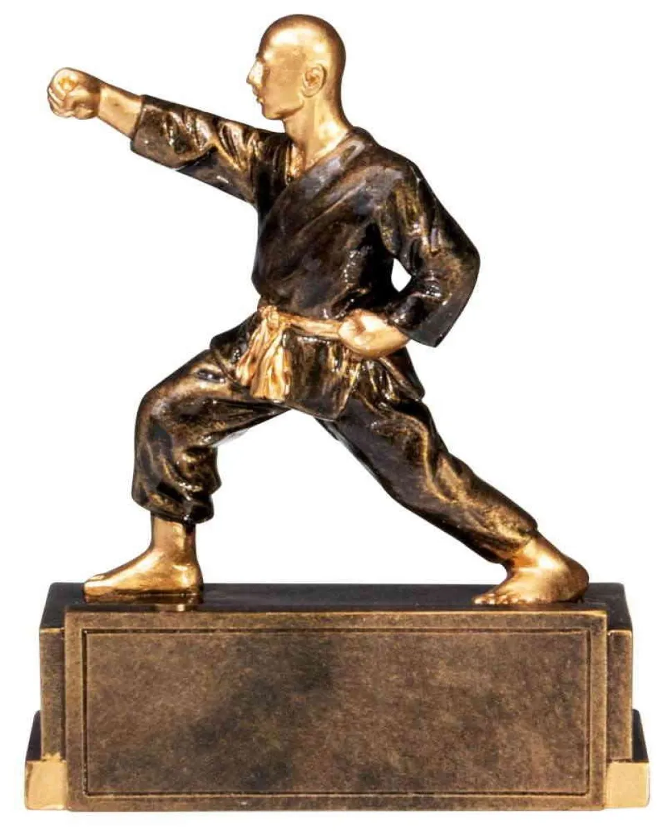Karate trofee figuur brons