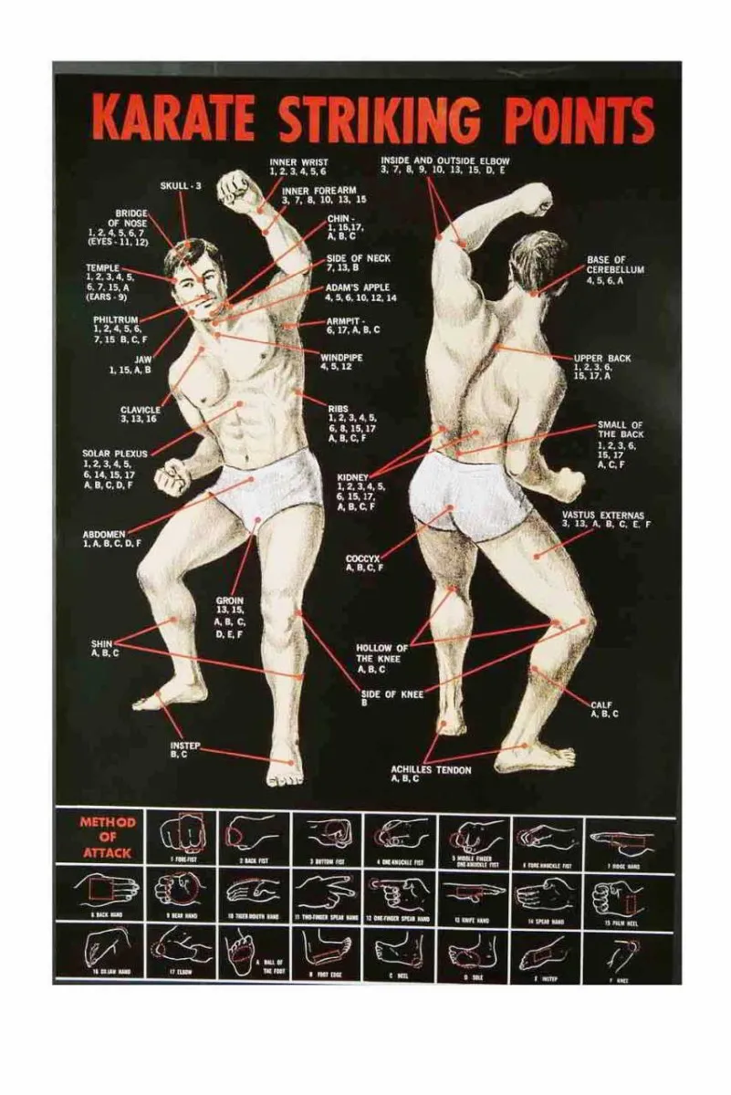 Plakat med karateslagpunkter