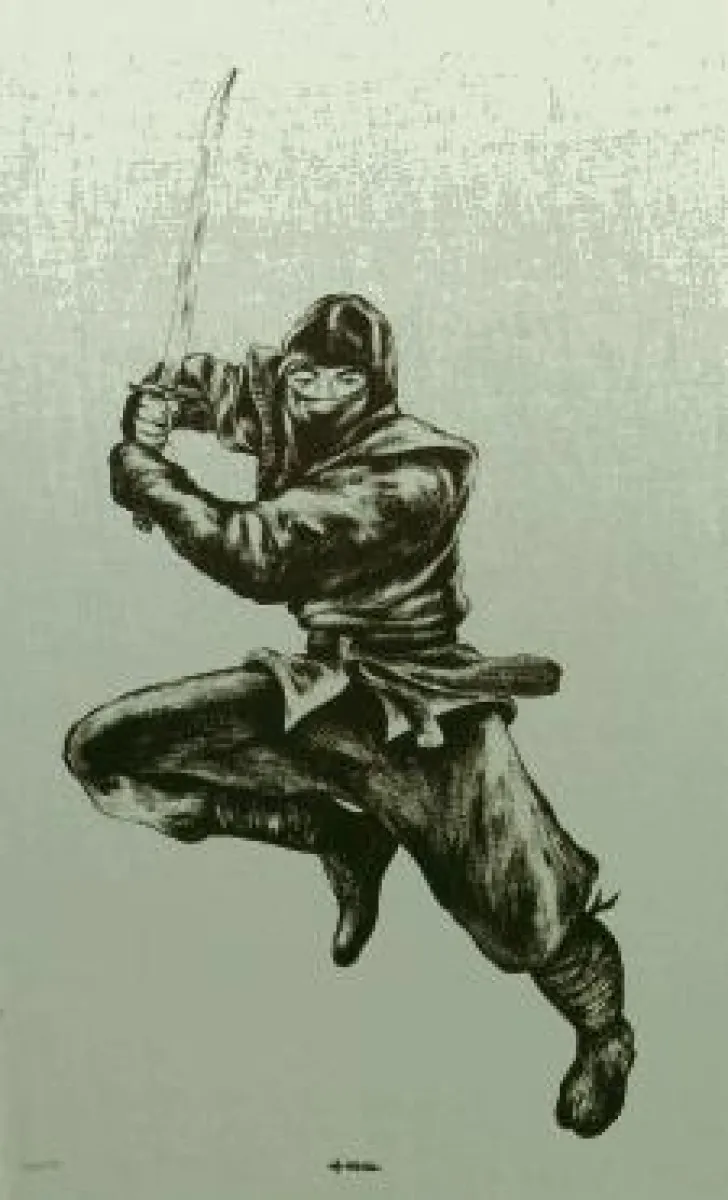 Ninja stoffen afbeelding