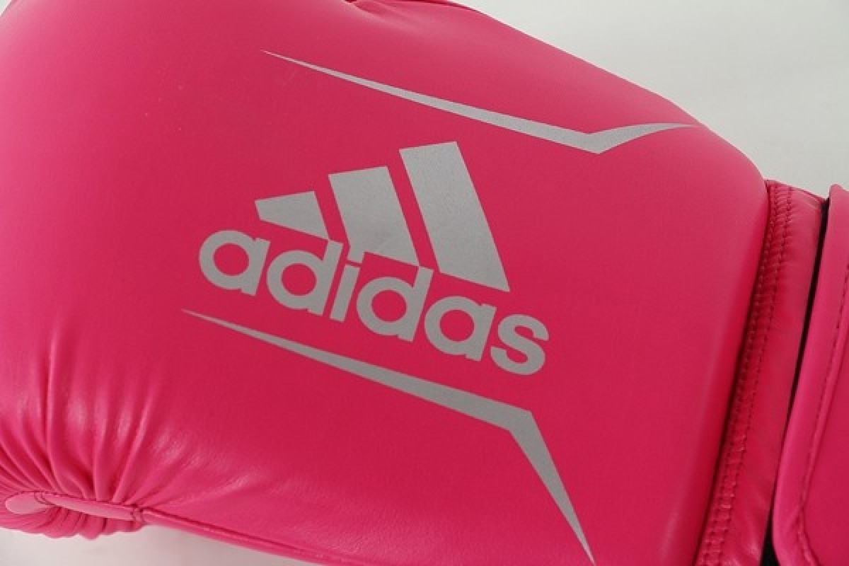 adidas Boxhandschuhe Speed | Kinderboxhandschuhe 50 pink/silber
