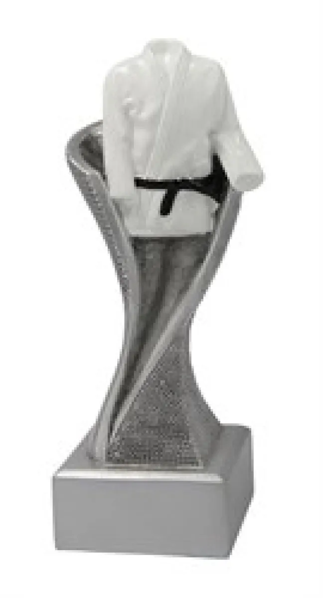 Vechtsport trofee zilver voor judo karate taekwondo