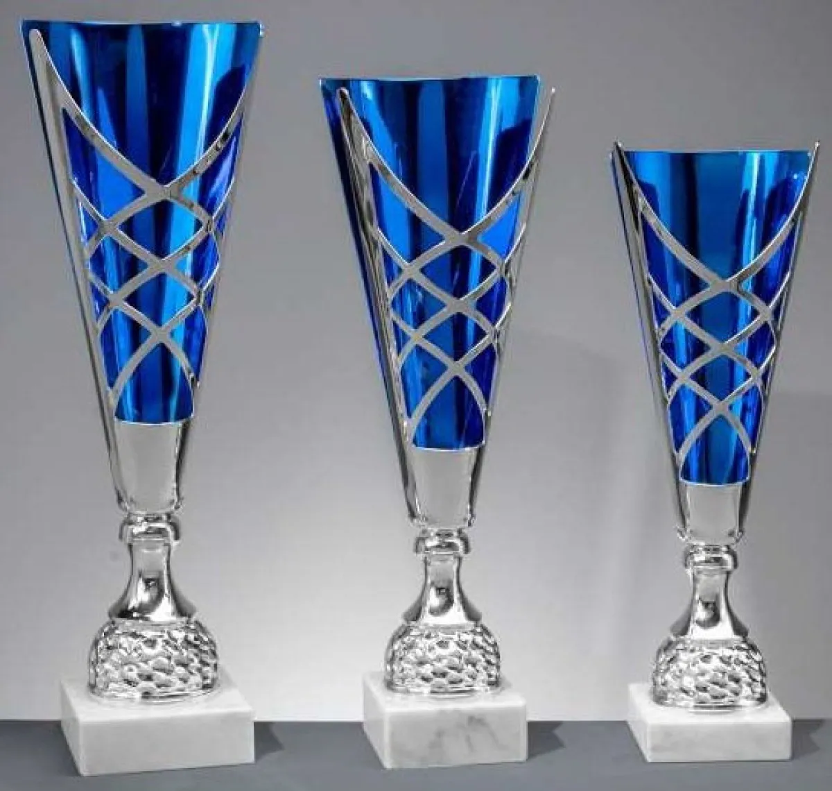 Finn trofee zilver/blauw