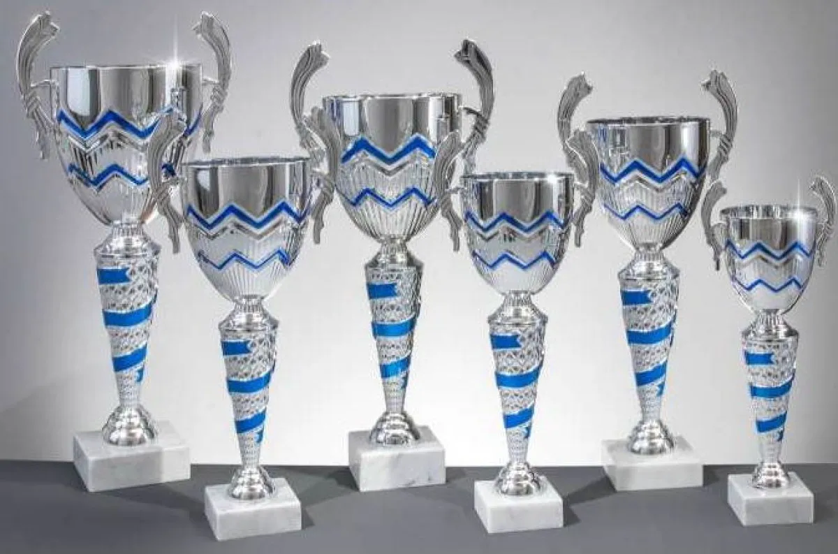 Leoni trofee serie zilver/blauw