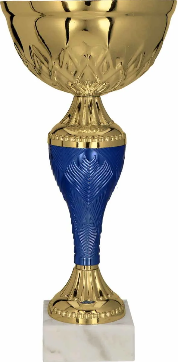 Gouden met blauwe plastic trofee