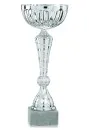 Goblet in silver with decoration