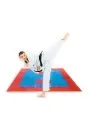 Embleem/sticker voor glazen staander Karate