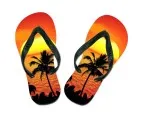 Flip flops solnedgang - palme