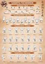 Poster Karate technieken