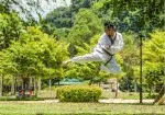 Puslespil Taekwondo Kick