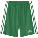 adidas Shorts Squadra 21 green/white
