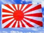 Vlag Japanse slagvlag