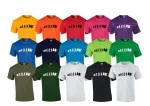 Camiseta Evolution Aikido diferentes colores